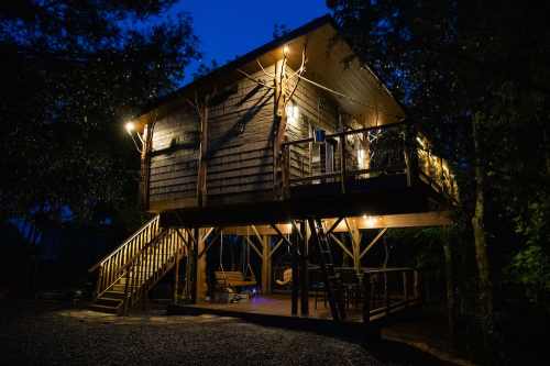 A cozy treehouse illuminated at night, surrounded by trees, with a staircase leading up to a wooden deck.