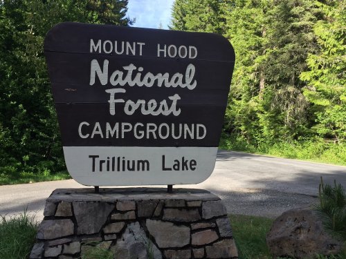 Sign for Mount Hood National Forest Campground at Trillium Lake, surrounded by trees and a gravel road.