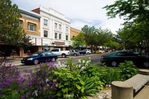 A vibrant street scene with shops, cars, and blooming flowers under a clear sky.