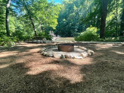 A serene campsite with a fire pit surrounded by stones, nestled among trees by a river.