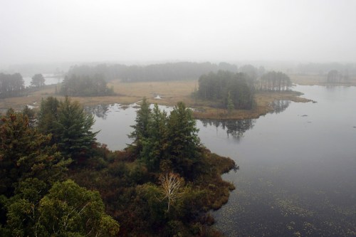 A misty landscape featuring a calm lake surrounded by trees and marshy land, creating a serene, tranquil atmosphere.