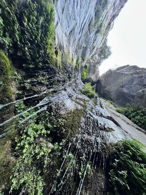 A vertical view of a waterfall cascading down moss-covered rocks, surrounded by lush greenery.