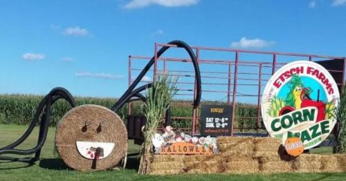 A playful corn maze display featuring a smiling hay bale and a sign for Etsch Farms, set against a blue sky.