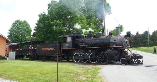 A vintage steam locomotive parked beside a grassy area, with trees and a building in the background. Smoke billows from the chimney.