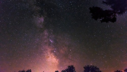A stunning night sky filled with stars and the Milky Way, framed by silhouettes of trees at the bottom.