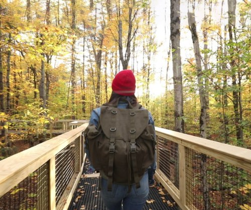 A person in a red beanie and denim jacket walks on a wooden path through a colorful autumn forest.