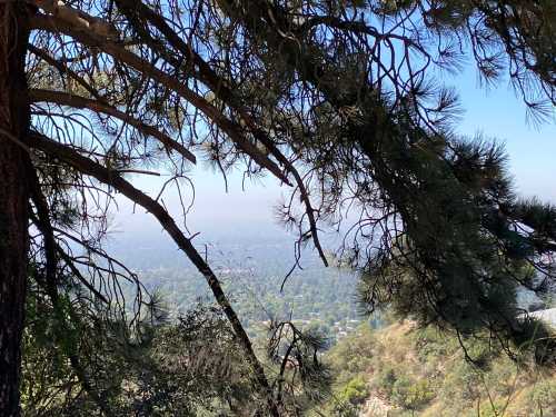 A view of a hazy landscape framed by tree branches, showcasing distant hills and a blue sky.