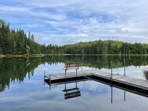 A serene lake scene with a wooden dock, a bench, and lush green trees reflecting in the calm water under a blue sky.