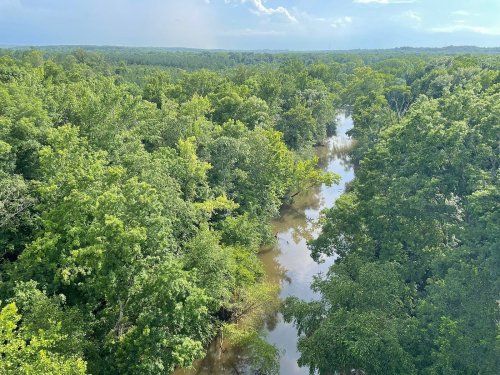 A lush green landscape with a winding river surrounded by dense trees under a bright blue sky.