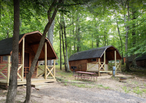 Two rustic cabins nestled in a lush green forest, surrounded by trees and a picnic area.