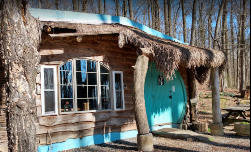 A rustic cabin with a thatched roof and turquoise accents, surrounded by trees in a wooded area.