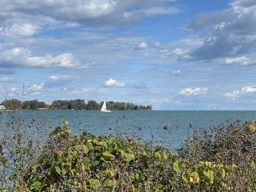 A serene lake scene with a sailboat in the distance, surrounded by lush greenery and a cloudy blue sky.