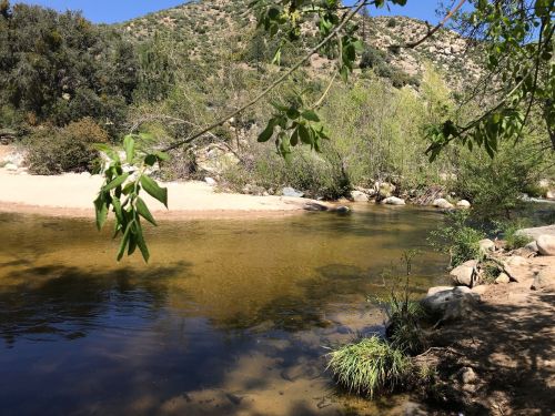 A serene river flows through a lush landscape, surrounded by trees and rocky banks under a clear blue sky.