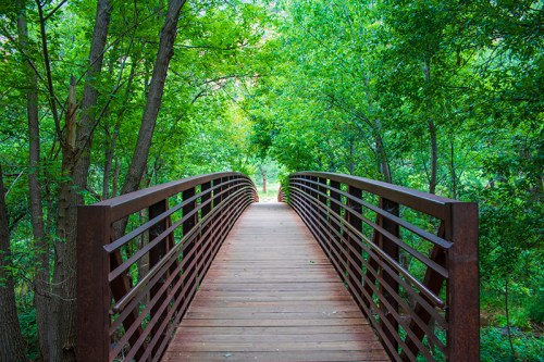 A wooden bridge surrounded by lush green trees, leading into a serene natural pathway.