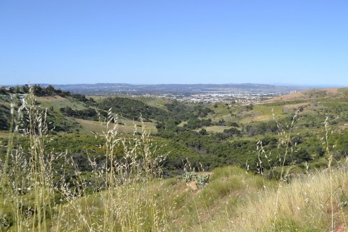 A scenic view of rolling hills and valleys under a clear blue sky, with tall grass in the foreground.