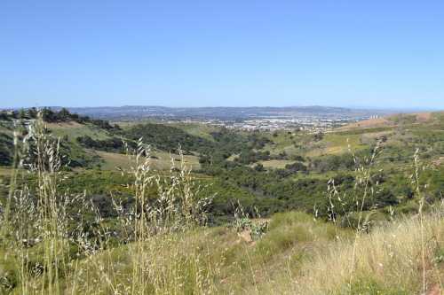 A scenic view of rolling hills and valleys under a clear blue sky, with tall grass in the foreground.