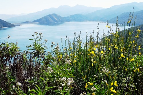 A scenic view of a lake surrounded by mountains, with vibrant wildflowers in the foreground.