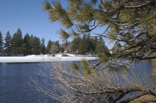 A serene lake surrounded by pine trees, with patches of snow on the shore under a clear blue sky.