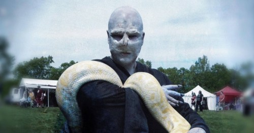 A person with pale skin and a snake draped over their arm, standing outdoors at a festival with tents in the background.