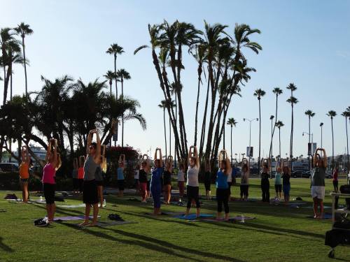 A group of people practicing yoga outdoors, stretching with arms raised, surrounded by palm trees and a clear sky.