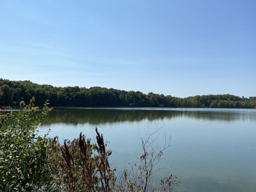 A serene lake surrounded by lush greenery under a clear blue sky. Reflections shimmer on the calm water's surface.