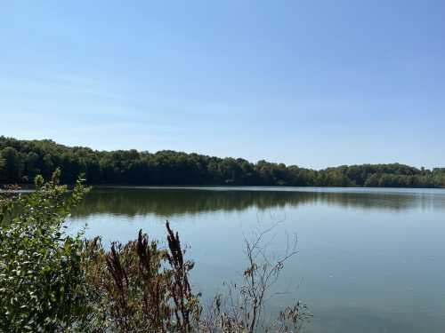 A serene lake surrounded by lush greenery under a clear blue sky. Reflections shimmer on the calm water's surface.