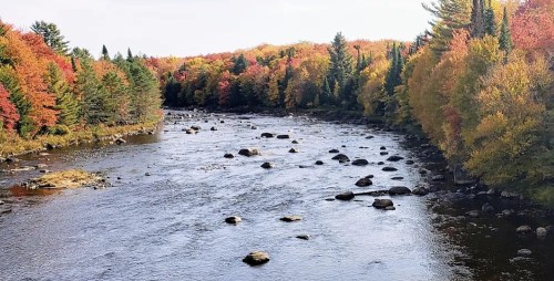 A serene river flows through a forest of vibrant autumn foliage, with rocks scattered across the water's surface.