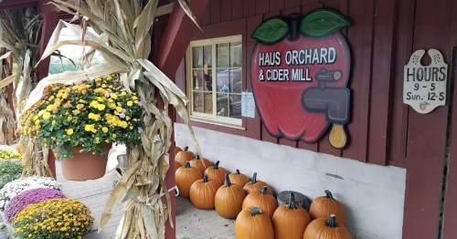 A rustic cider mill with a large apple sign, pumpkins, and colorful flower pots on display.