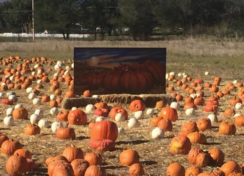 A pumpkin patch with numerous orange and white pumpkins scattered across a field, featuring a painted backdrop.