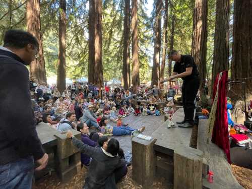 A crowd gathers in a forest for a performance, with a performer on stage engaging the audience among tall trees.