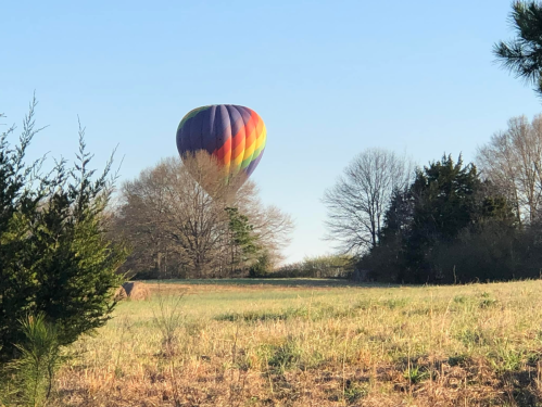 A colorful hot air balloon floats above a grassy field surrounded by trees under a clear blue sky.