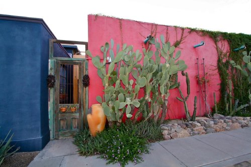 Colorful wall with green cacti and a wooden gate, surrounded by plants and stones along a sidewalk.
