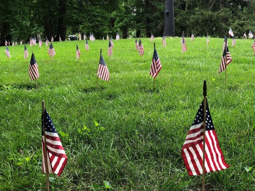 A grassy area filled with small American flags, creating a patriotic display.