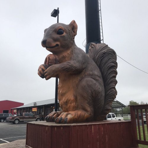 A large, cartoonish squirrel statue stands in a parking lot, with buildings and a pole in the background.
