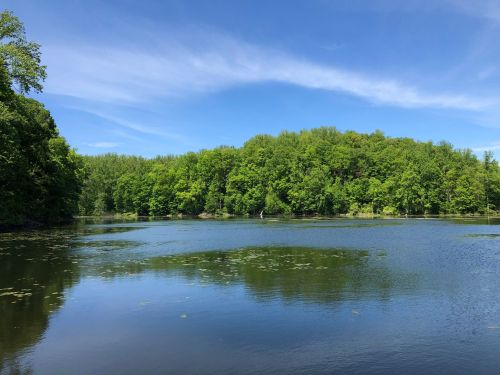 A serene lake surrounded by lush green trees under a clear blue sky, reflecting the landscape on the water's surface.