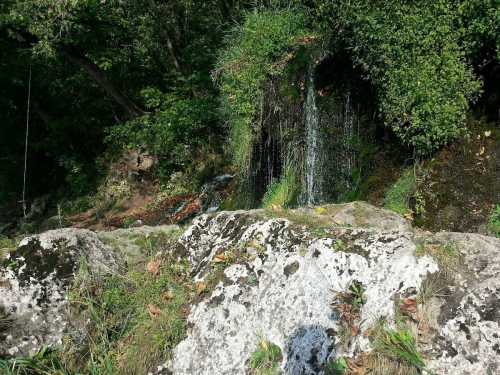 A serene scene of a small waterfall cascading over moss-covered rocks, surrounded by lush greenery.