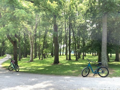 Two bicycles parked on a gravel path in a lush green park surrounded by tall trees.