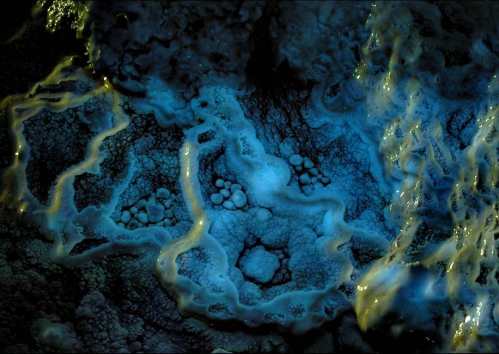 Aerial view of a vibrant, glowing underwater landscape with intricate patterns and shades of blue and green.