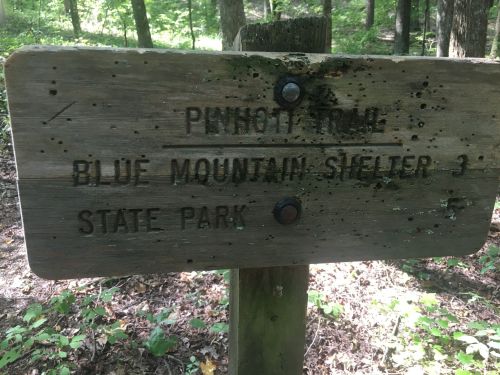 Wooden sign for "Pinnott Trail" and "Blue Mountain Shelter 3" in a wooded area of a state park.