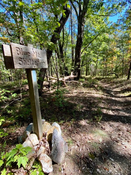 A wooden sign for "Blue Mt. Shelter" stands beside a forest trail surrounded by trees and rocks.