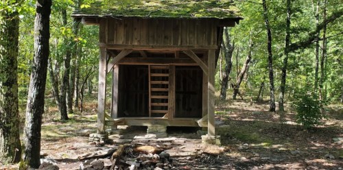 A rustic wooden shelter surrounded by trees, with a stone fire pit in front and a moss-covered roof.
