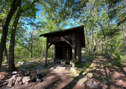 A rustic wooden cabin surrounded by trees in a forested area, with a clear blue sky above.