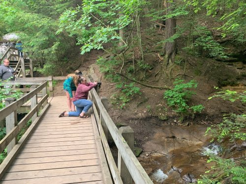 Two people kneel by a wooden railing in a lush, green forest, observing a small stream below.
