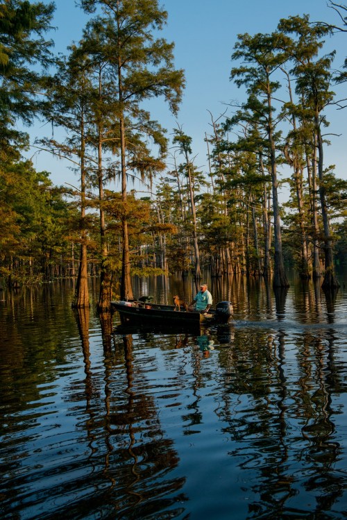 A person in a small boat navigates through a serene, tree-lined swamp at sunset, reflecting on the calm water.