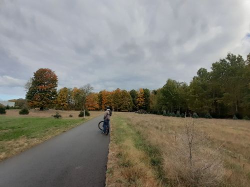 A person stands on a path beside a field, with colorful autumn trees in the background under a cloudy sky.