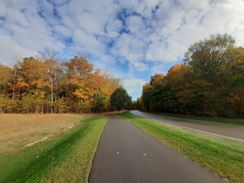 A scenic pathway lined with colorful autumn trees, leading towards a road under a partly cloudy sky.