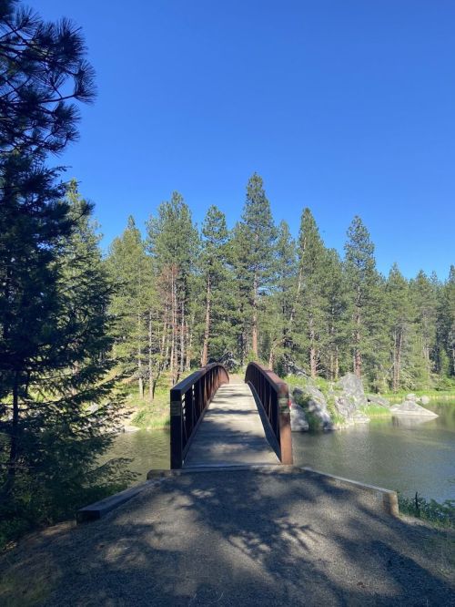 A wooden bridge spans a calm pond, surrounded by tall green trees under a clear blue sky.