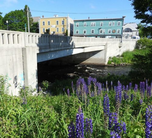 A concrete bridge spans a stream, with colorful buildings and purple flowers in the foreground under a clear blue sky.