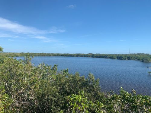 A serene view of a calm lake surrounded by lush greenery under a clear blue sky.