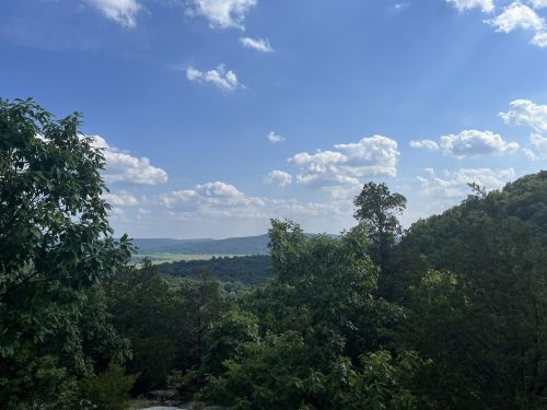 A scenic view of lush green trees and rolling hills under a blue sky with fluffy white clouds.